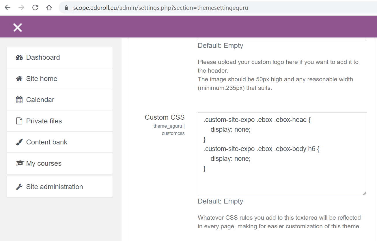 eGuru Custom CSS beállítások